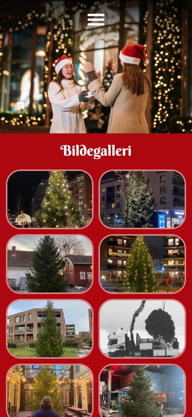 Bildegalleriet til Juletrekompaniet i mobilformat