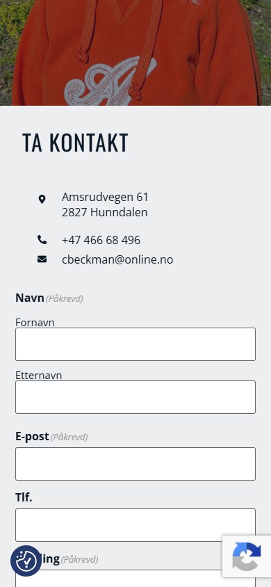 Kontaktseksjonen hos North Sea Translations i mobilformat