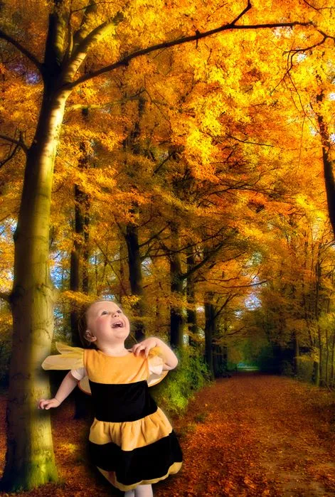Fantasibilde satt sammen av flere bilder