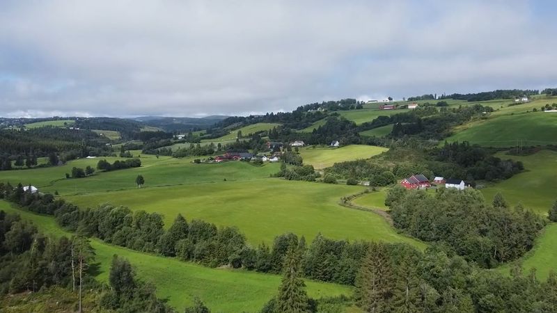 Ole Stubberud - Vi verdsetter dine verdier